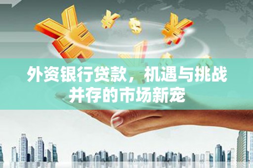 屯留外资银行贷款，机遇与挑战并存的市场新宠