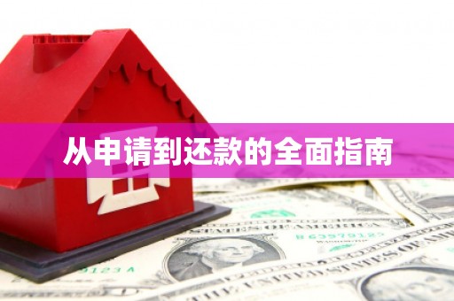 屯留从申请到还款的全面指南