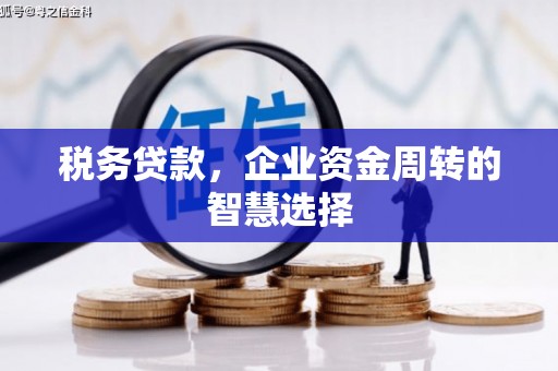 屯留税务贷款，企业资金周转的智慧选择