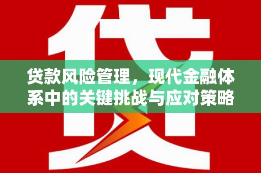 屯留贷款风险管理，现代金融体系中的关键挑战与应对策略