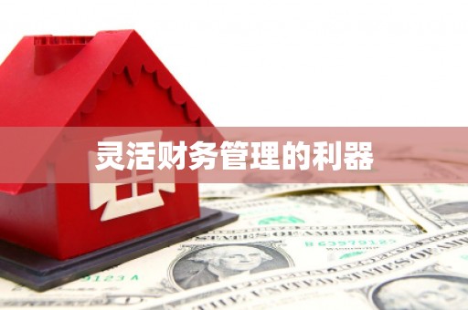 屯留灵活财务管理的利器