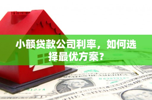 屯留小额贷款公司利率，如何选择最优方案？