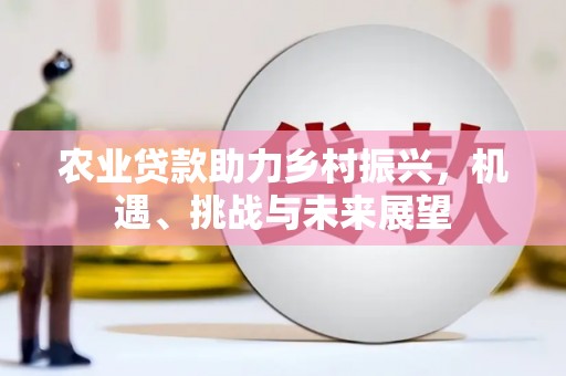屯留农业贷款助力乡村振兴，机遇、挑战与未来展望