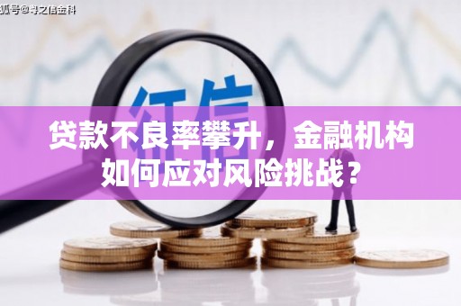 屯留贷款不良率攀升，金融机构如何应对风险挑战？