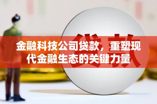 屯留金融科技公司贷款，重塑现代金融生态的关键力量