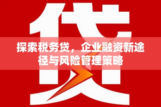 屯留探索税务贷，企业融资新途径与风险管理策略