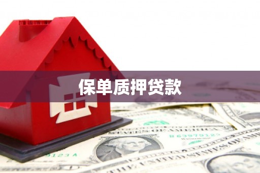 屯留保单质押贷款