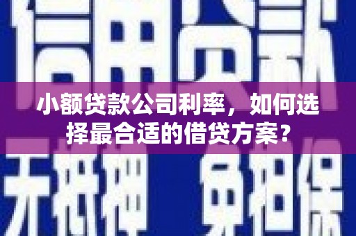 屯留小额贷款公司利率，如何选择最合适的借贷方案？