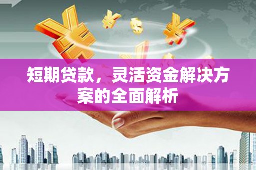 屯留短期贷款，灵活资金解决方案的全面解析