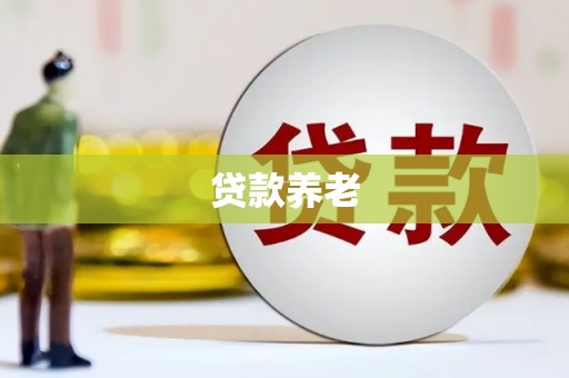 屯留贷款养老