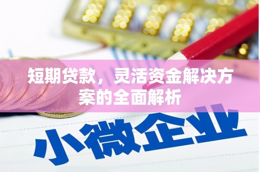 屯留短期贷款，灵活资金解决方案的全面解析