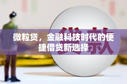 屯留微粒贷，金融科技时代的便捷借贷新选择