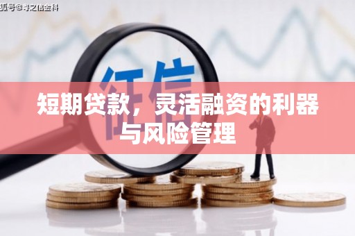 屯留短期贷款，灵活融资的利器与风险管理